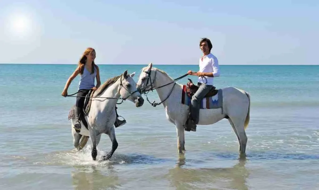 Jazda konna (pustynia i plaża) w Hurghadzie